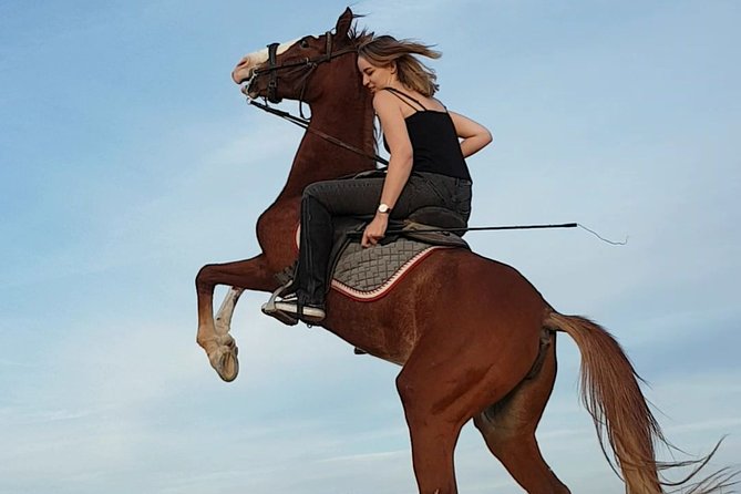 Jazda konna na pustyni w Szarm