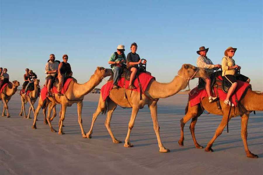 Hotel Pickup: 16.00 and Return: 21.00