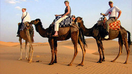 Abholung: 15:00 Uhr, Rückkehr: 18:00 Uhr